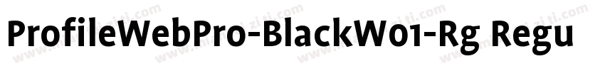ProfileWebPro-BlackW01-Rg Regular字体转换